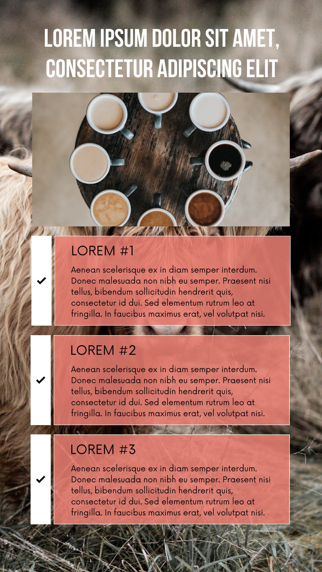 100 IG Story Templates